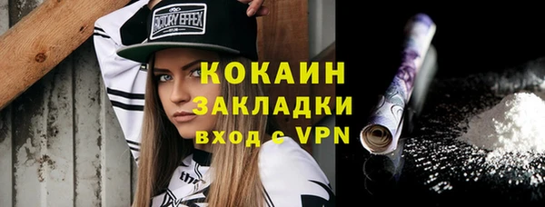 кокс Алексин
