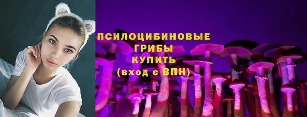 кокс Алексин
