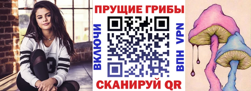 Галлюциногенные грибы Psilocybine cubensis  наркота  Беломорск 